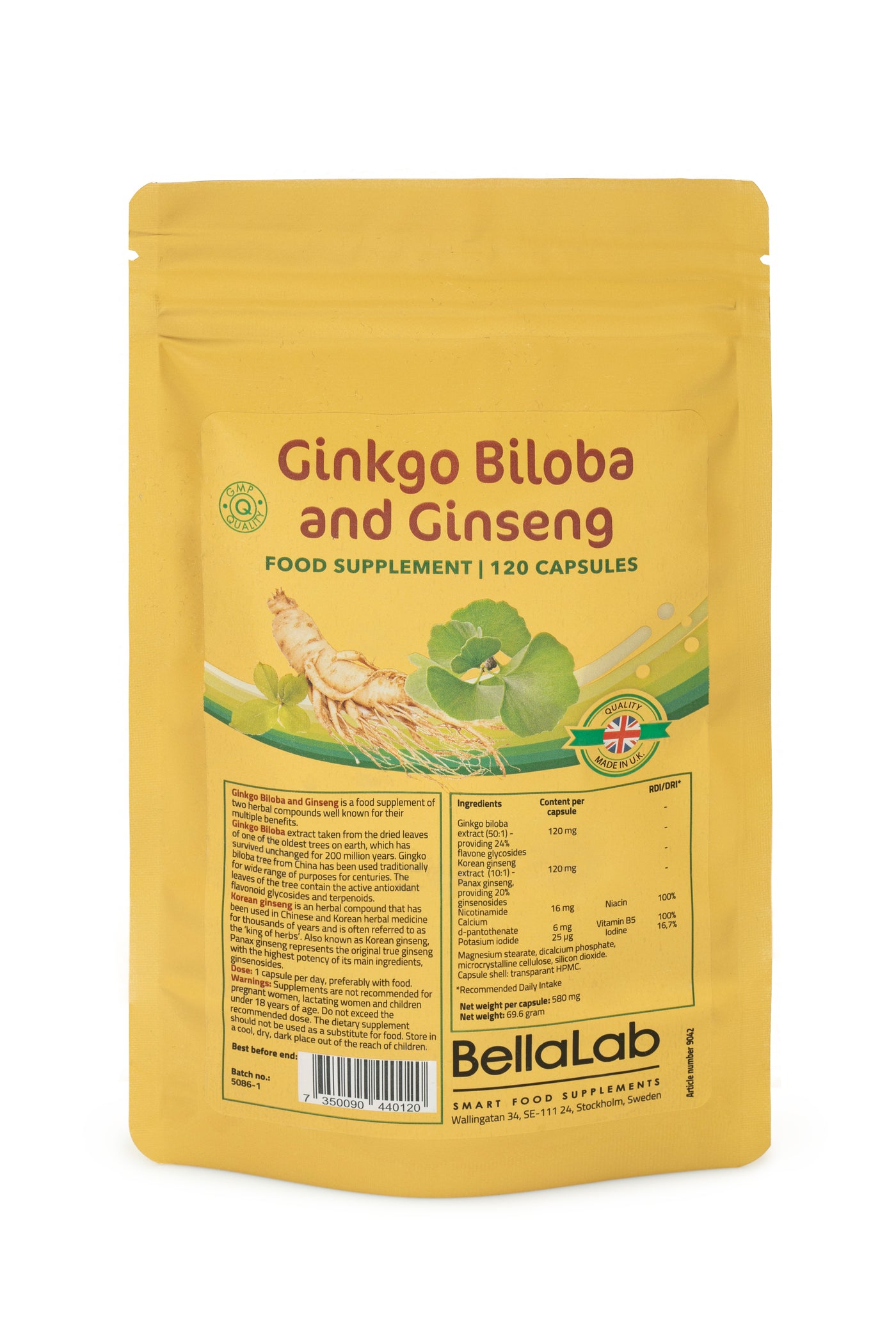 Ginkgo Biloba in ginseng (dvokrpi ginko in kitajski ginseng)